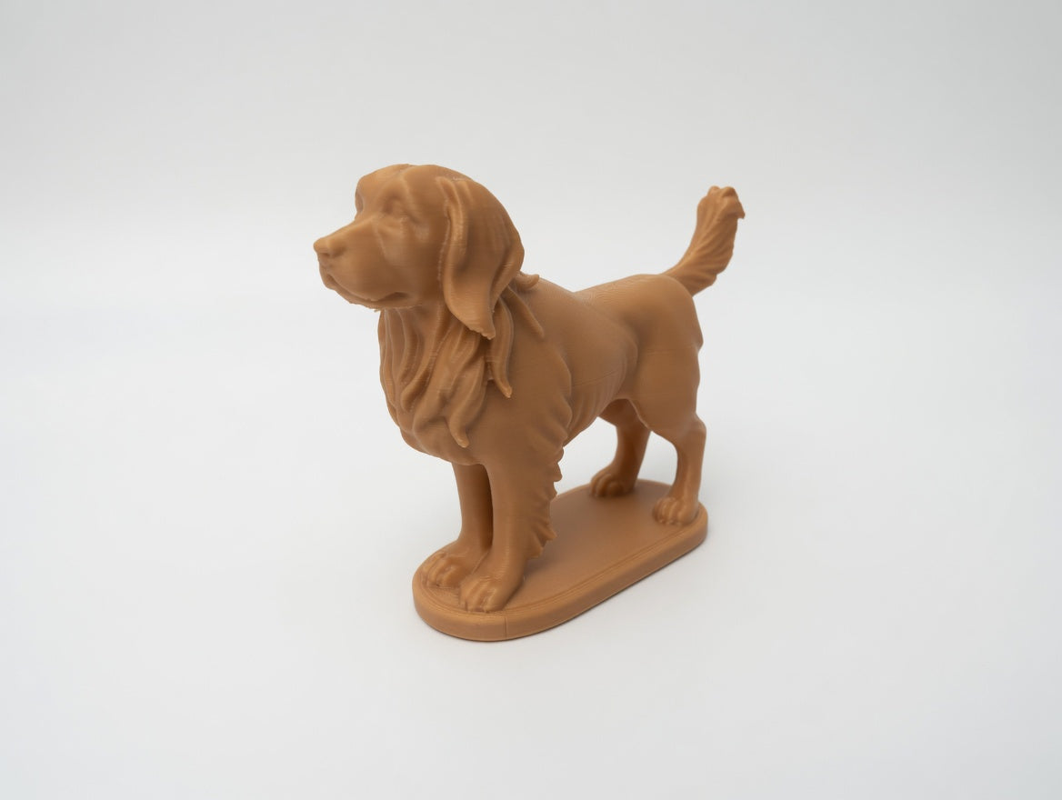 Golden Retriver