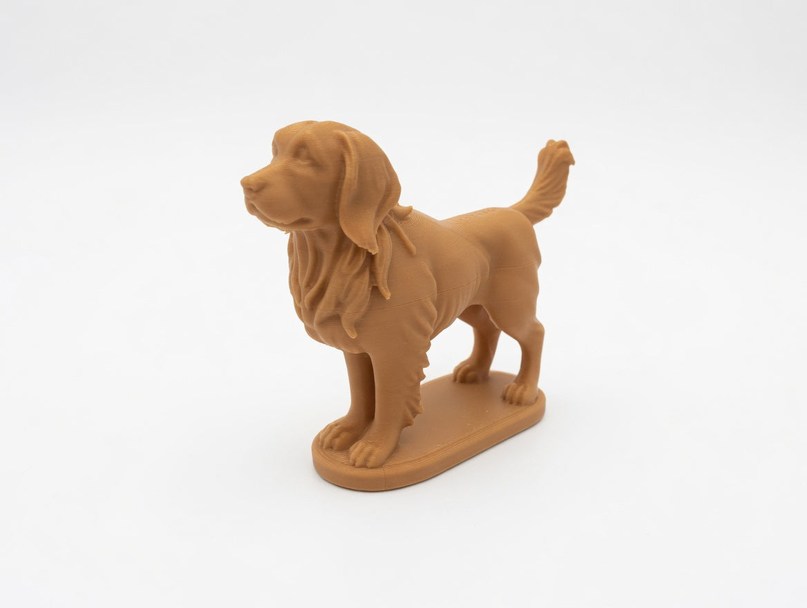 Golden Retriver
