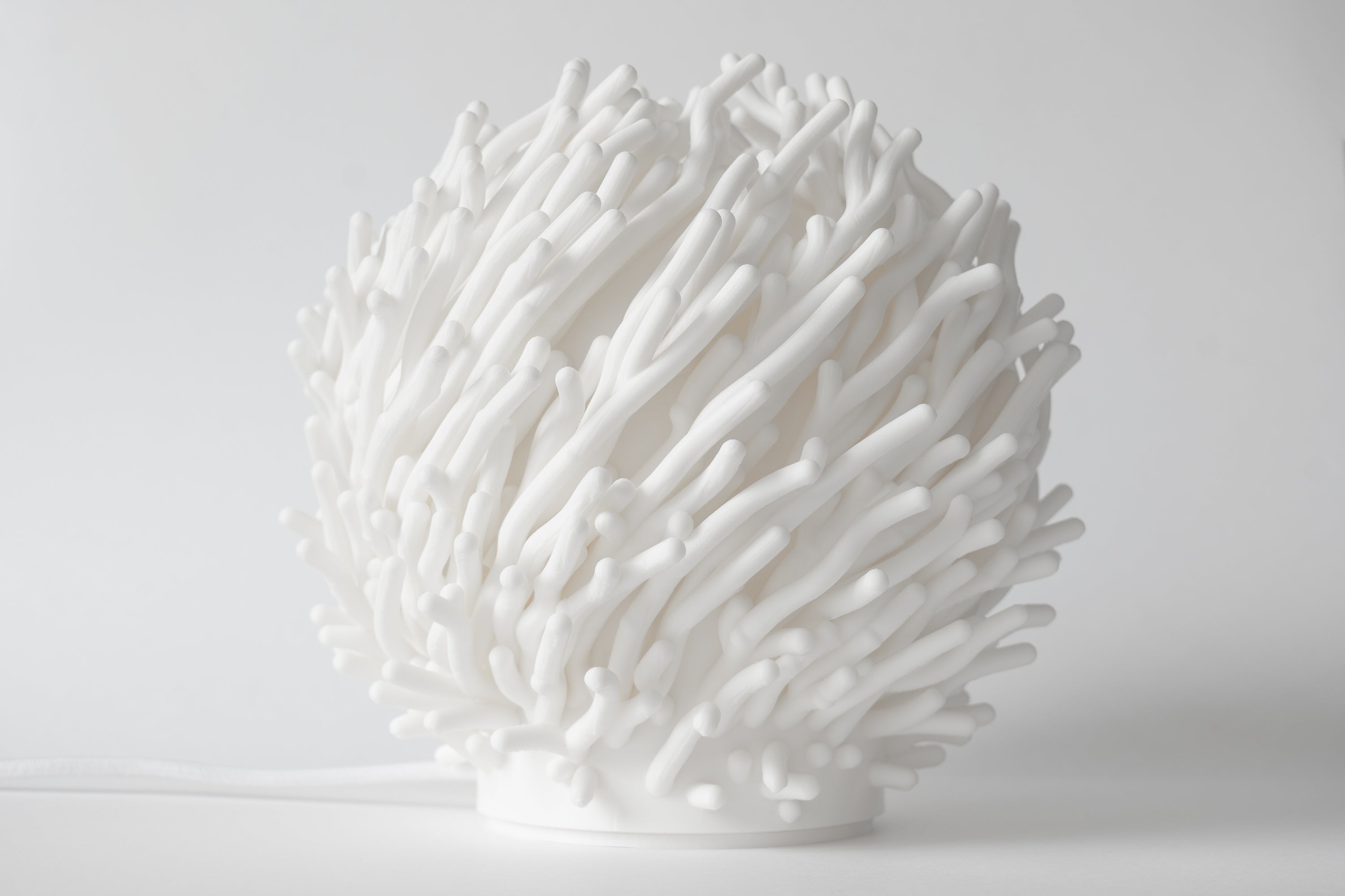 Korallen Skulpture Lampe