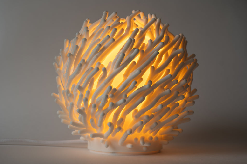 Korallen Skulpture Lampe