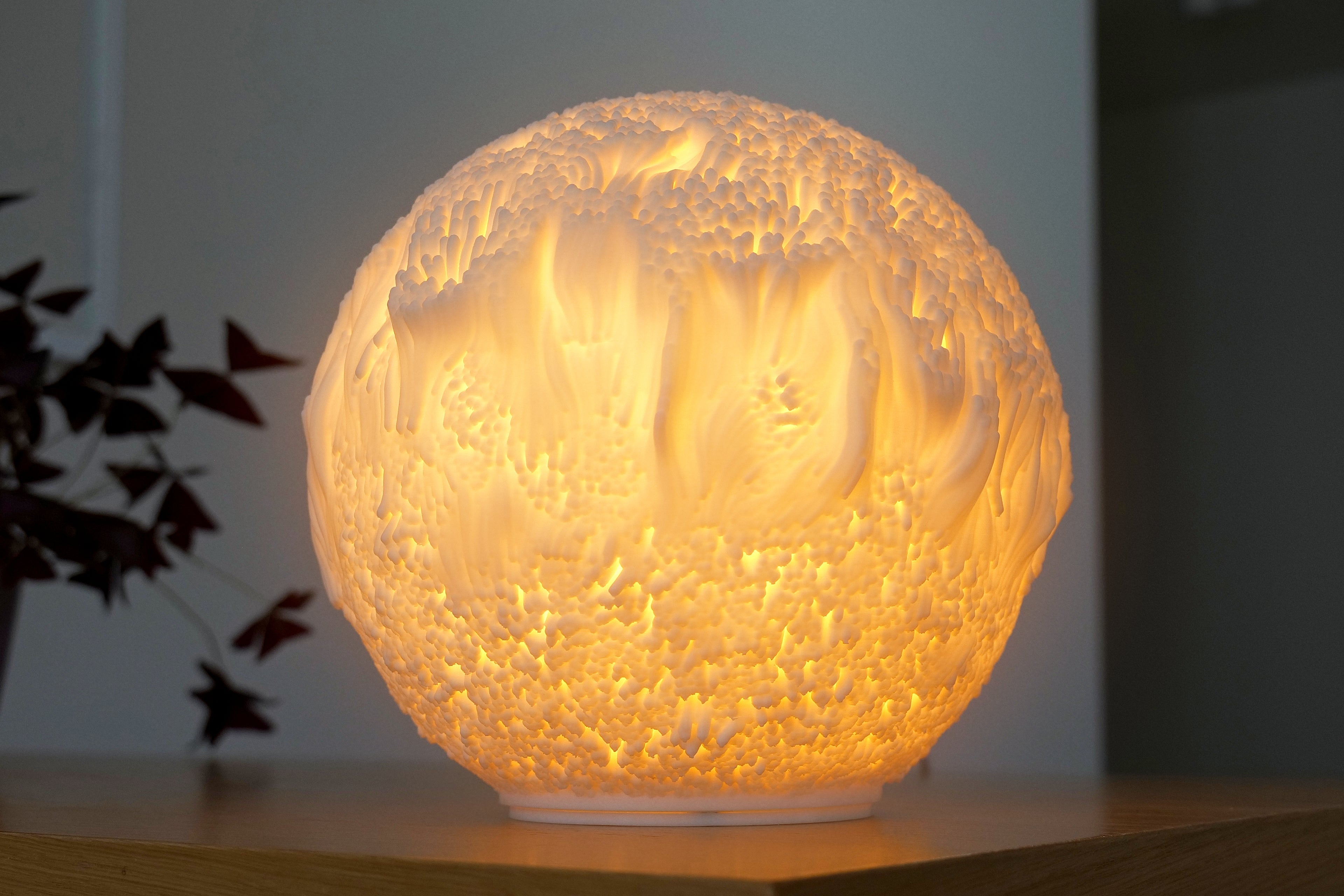 Riffskulptur Lampe