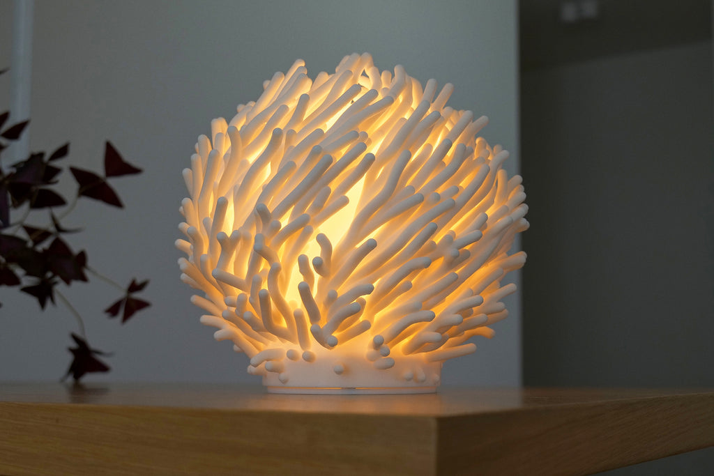 Korallen Skulpture Lampe