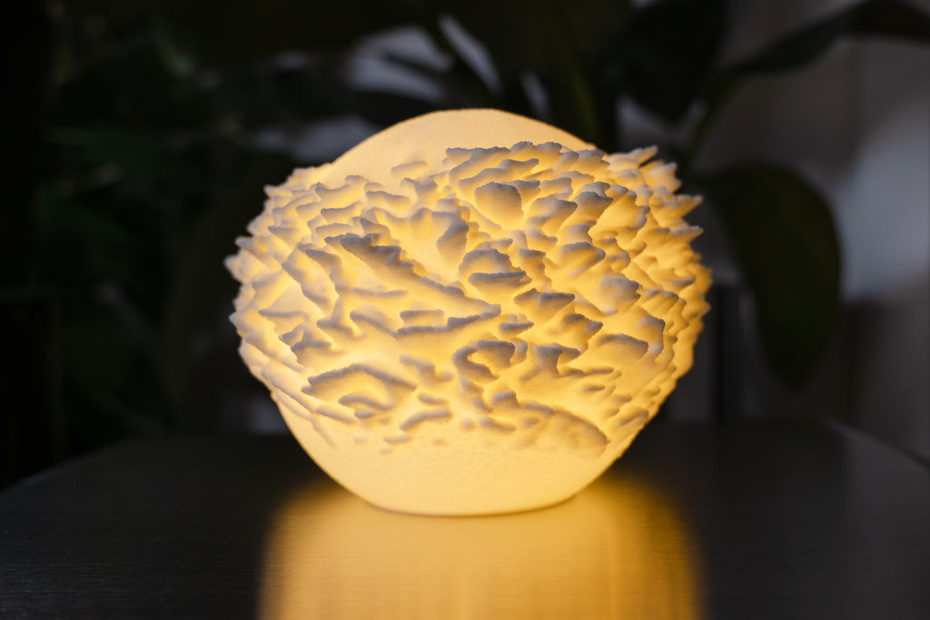 Plattenkorallen-Skulptur Lampe