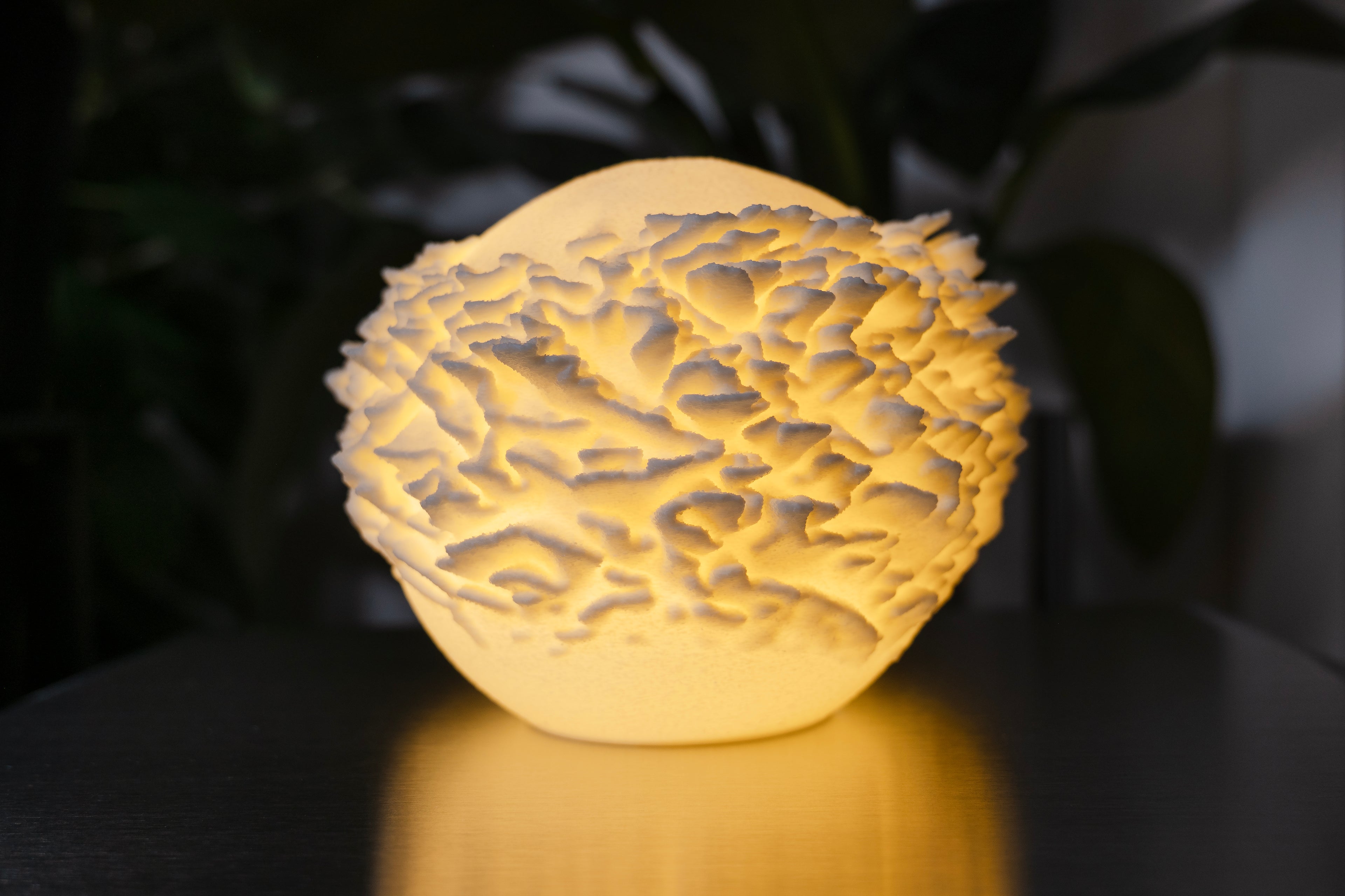 Plattenkorallen-Skulptur Lampe