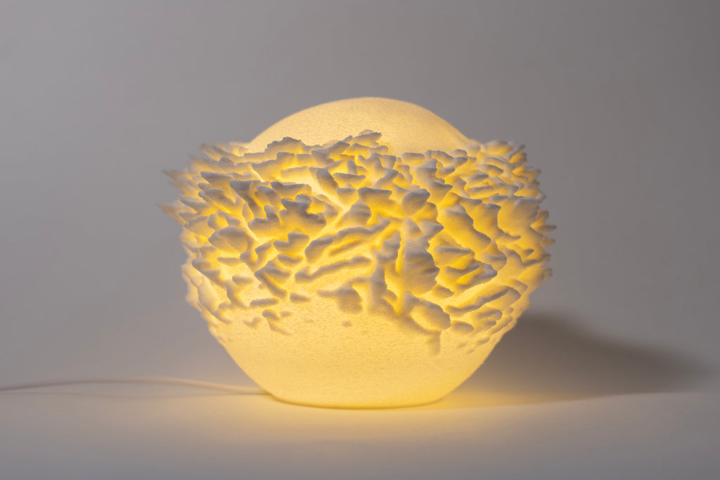 Plattenkorallen-Skulptur Lampe