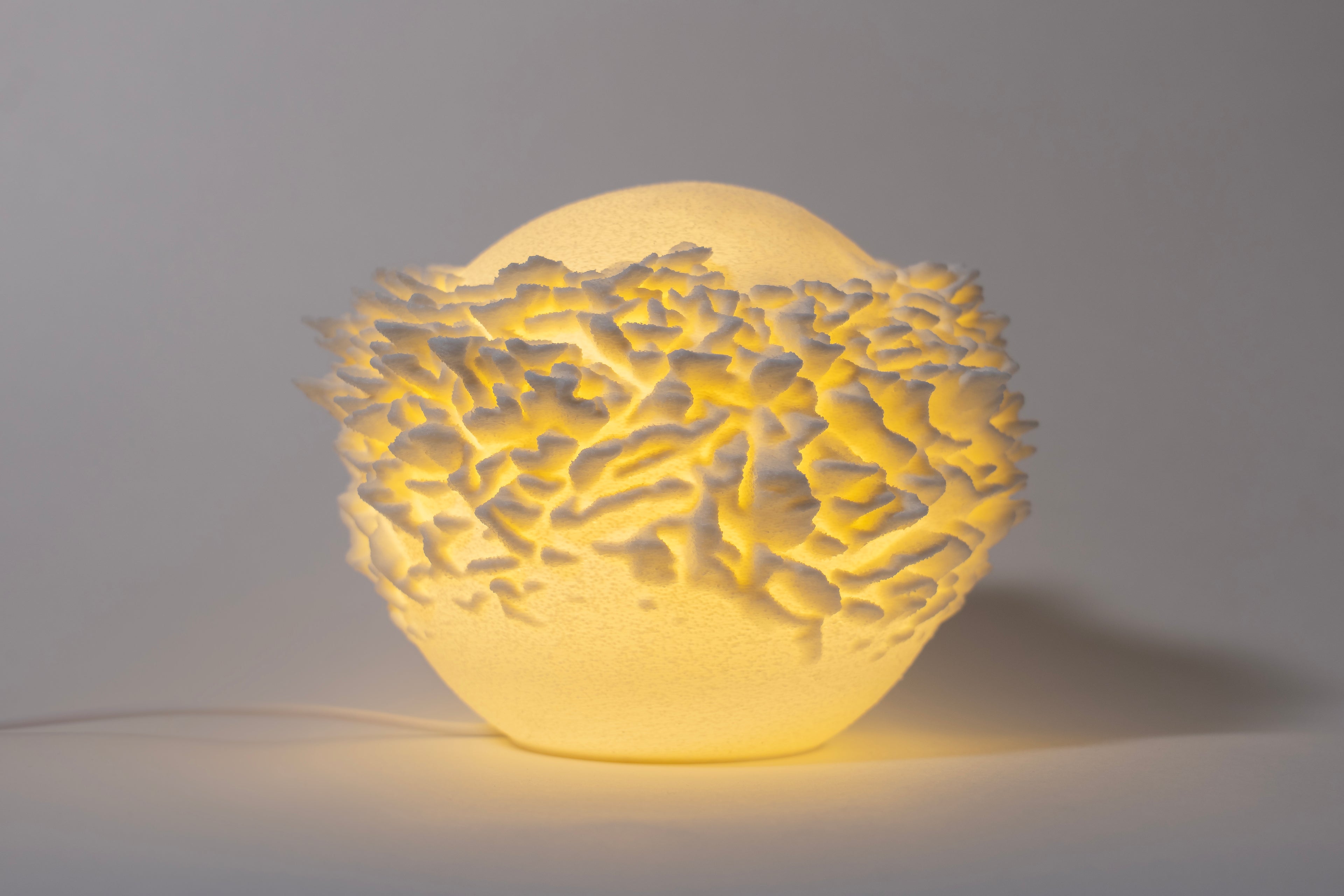 Plattenkorallen-Skulptur Lampe