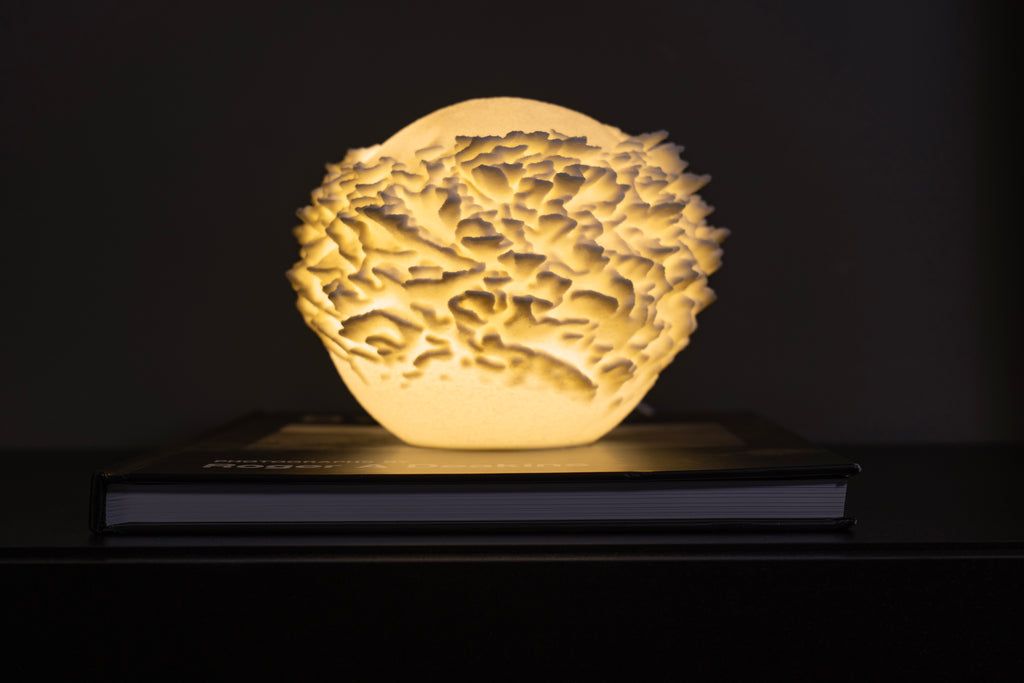 Plattenkorallen-Skulptur Lampe