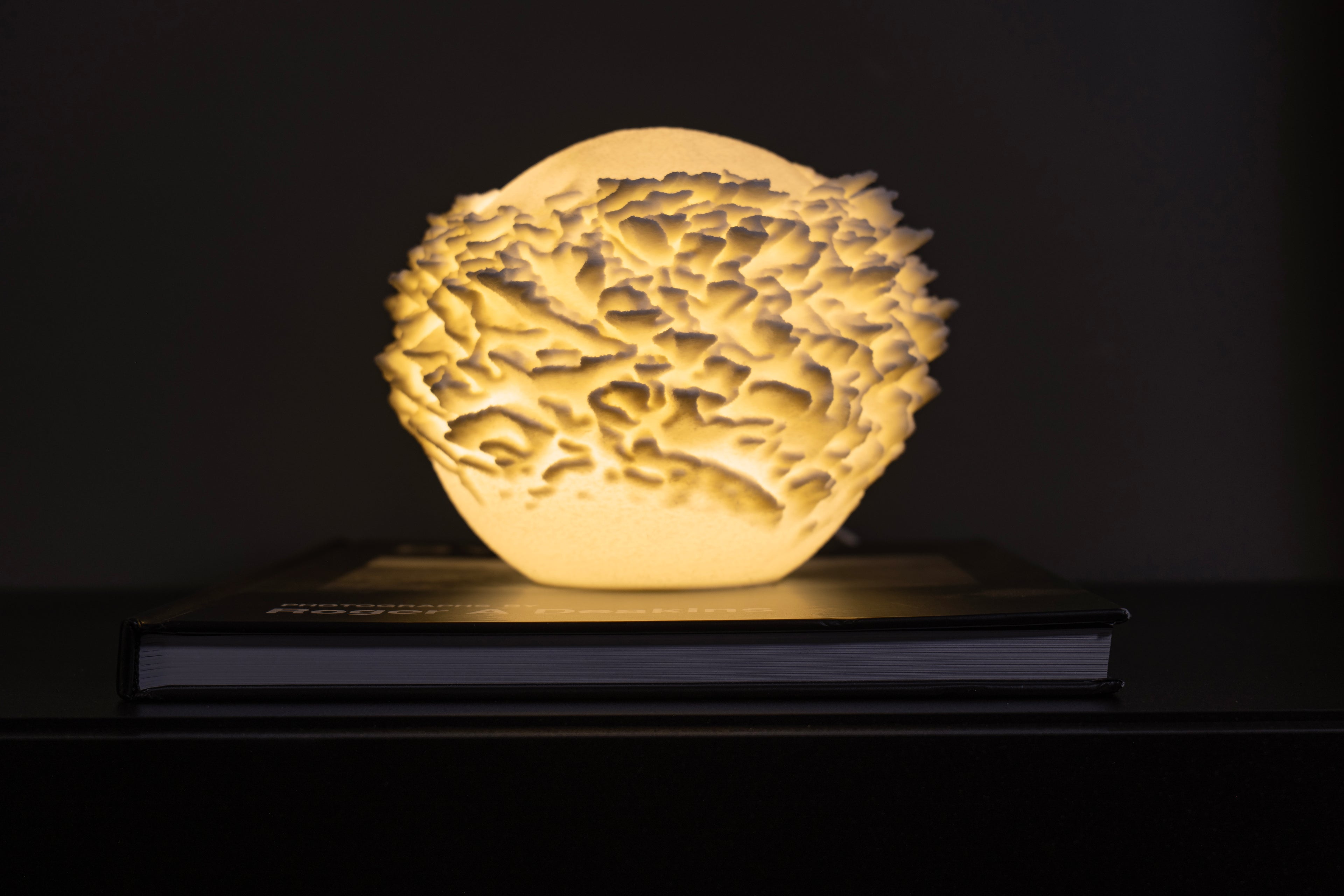 Plattenkorallen-Skulptur Lampe