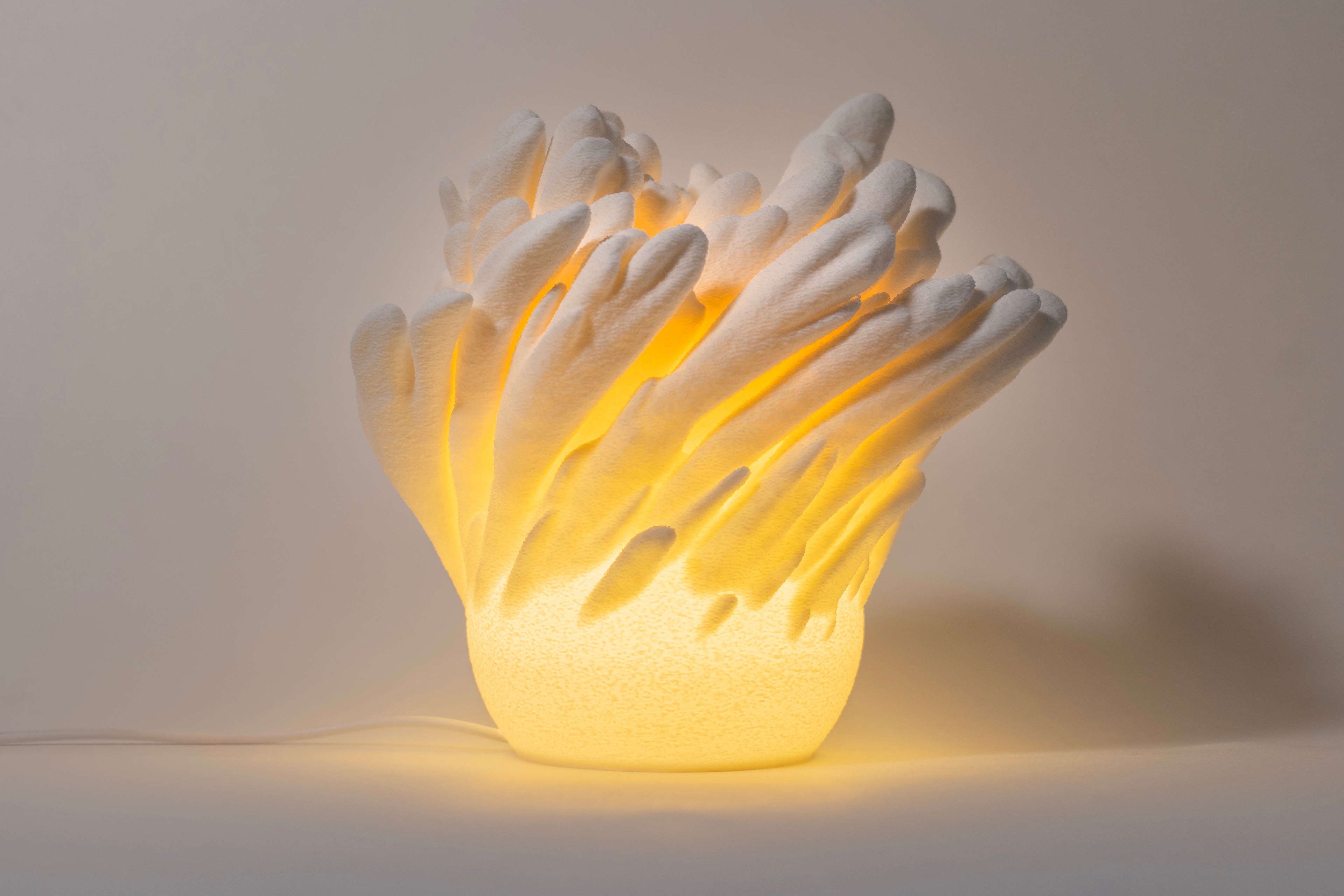 Unterwasserblumen Lampe