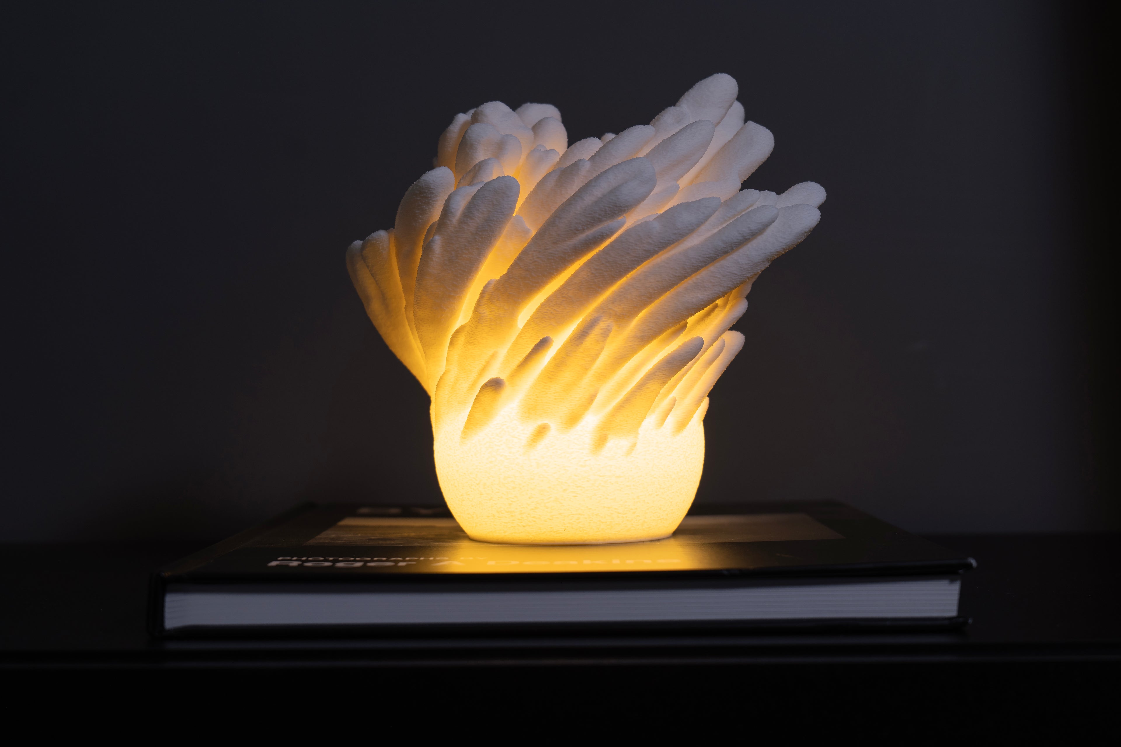 Unterwasserblumen Lampe