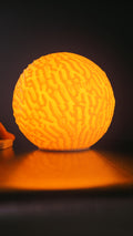 Selbstorganisierende Skulptur Lampe