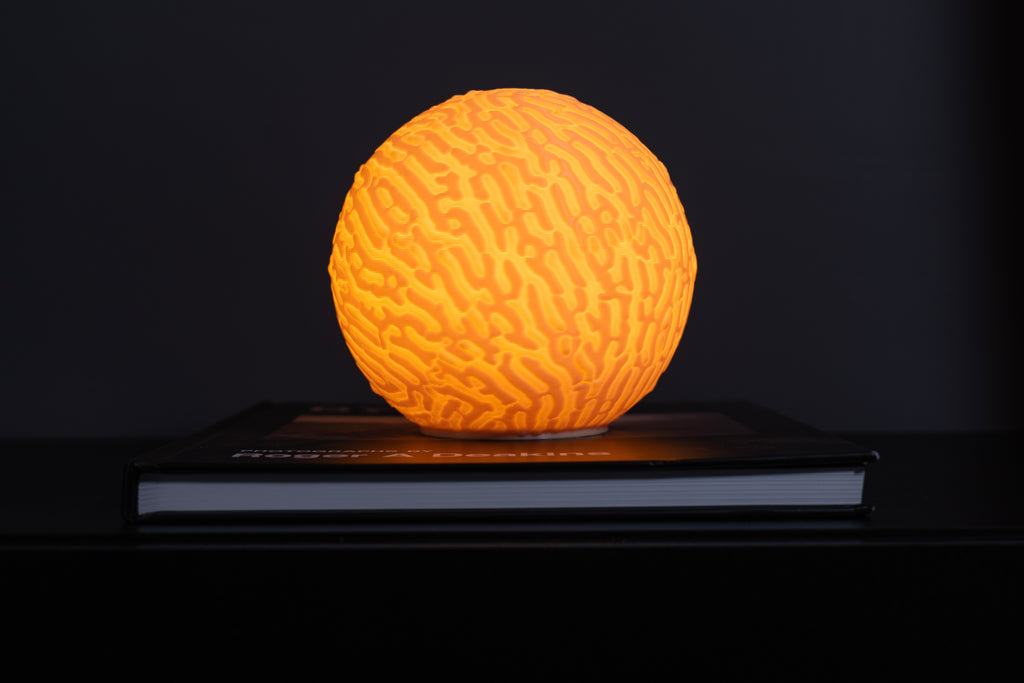 Selbstorganisierende Skulptur Lampe