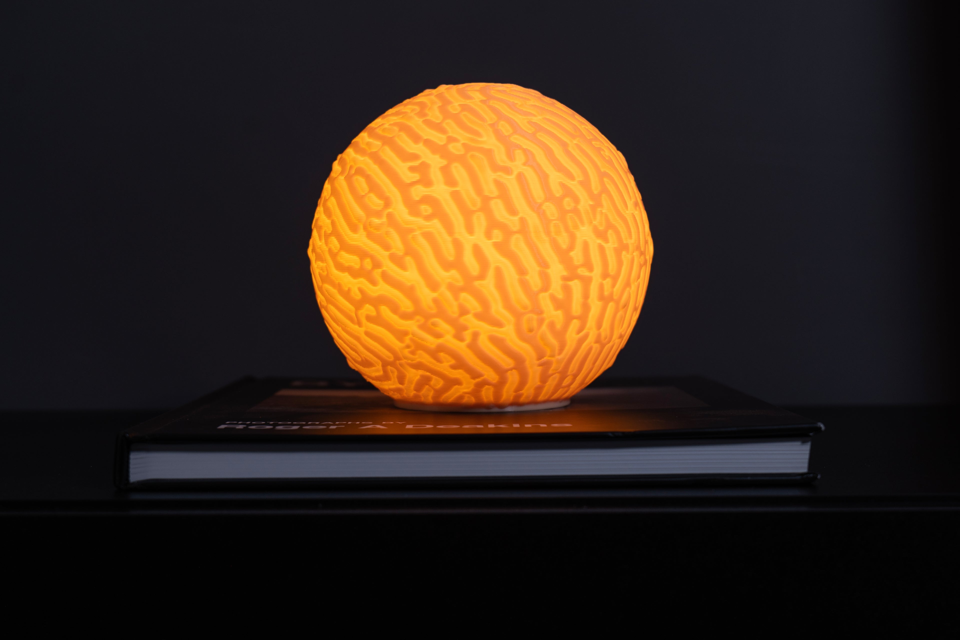 Selbstorganisierende Skulptur Lampe